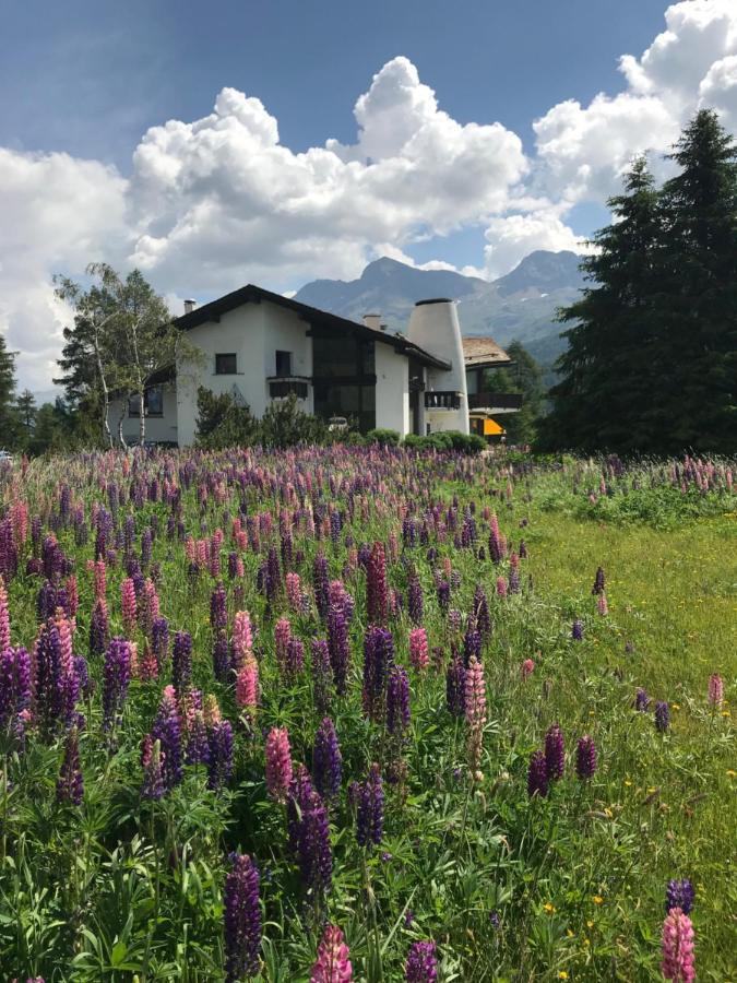 Chesa Suot Ovas Sils Maria Exterior foto