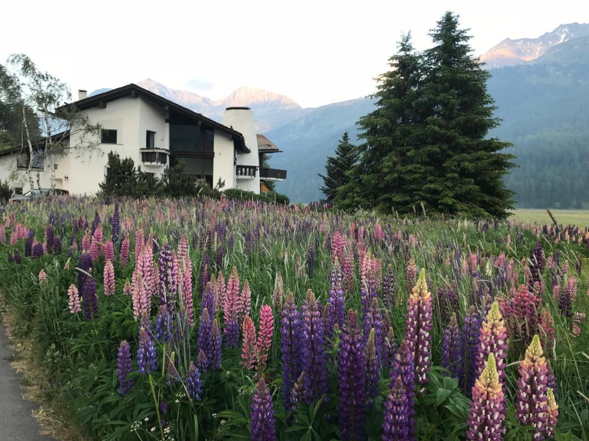 Chesa Suot Ovas Sils Maria Exterior foto