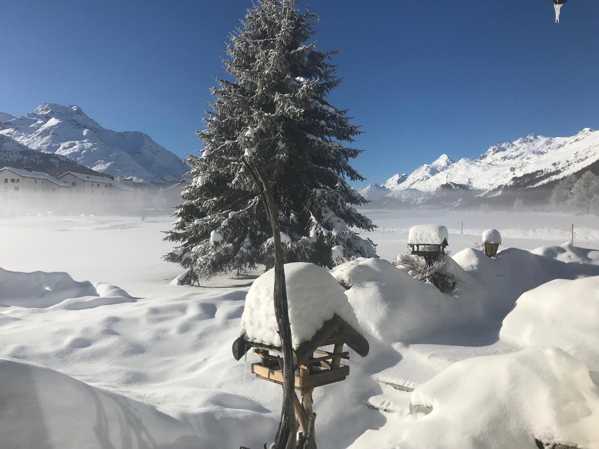 Chesa Suot Ovas Sils Maria Exterior foto